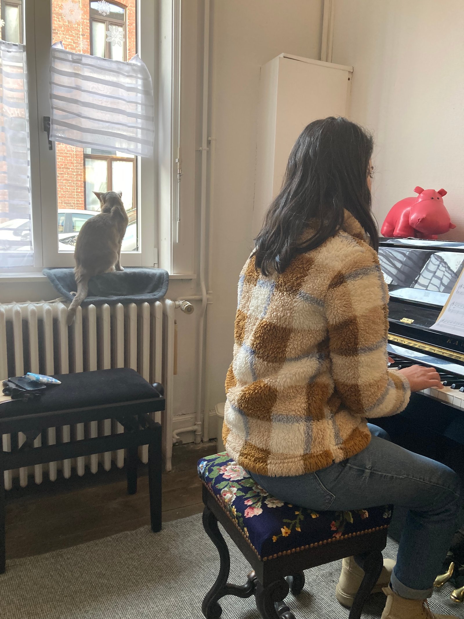 École pet-friendly